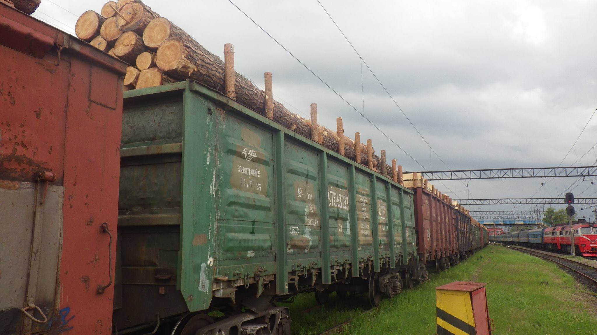 Ходорівчани перешкоджали незаконному вивозу лісу