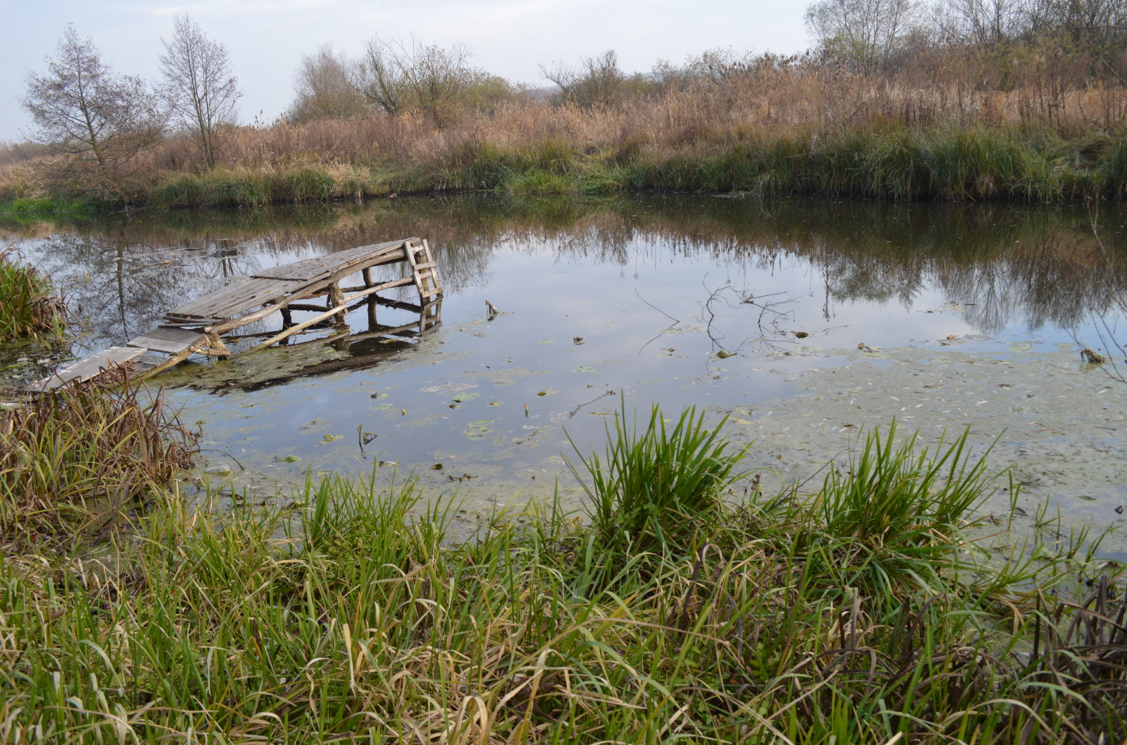 В річці Луг та ще 11 річках Львівщини виявили забруднюючі речовини